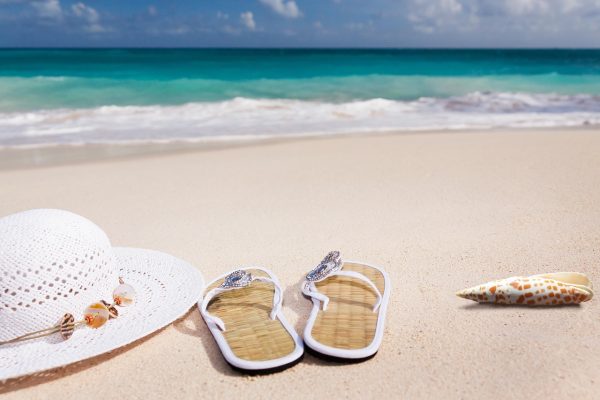 All about Summer!